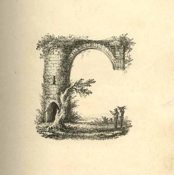 Glorious Landscape Alphabet Art From 19th Century