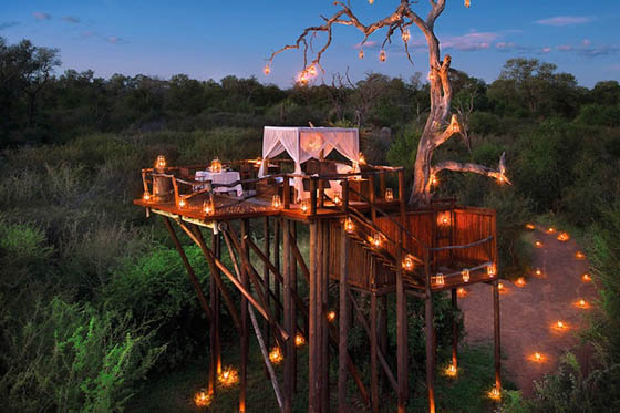 11 Amazing Treehouses around the World