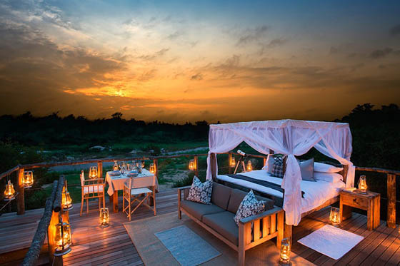 Sleep Under the Stars: Exotic Treehouse in Lion Sands Game Reserve