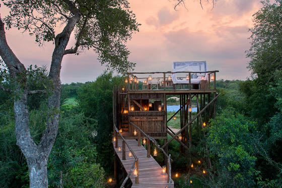 Sleep Under the Stars: Exotic Treehouse in Lion Sands Game Reserve