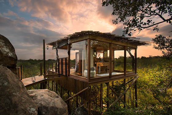 Sleep Under the Stars: Exotic Treehouse in Lion Sands Game Reserve