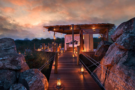 Sleep Under the Stars: Exotic Treehouse in Lion Sands Game Reserve