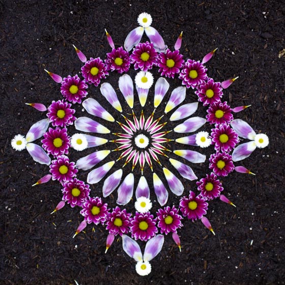 Beautiful Flower Mandalas Created by Kathy Klein