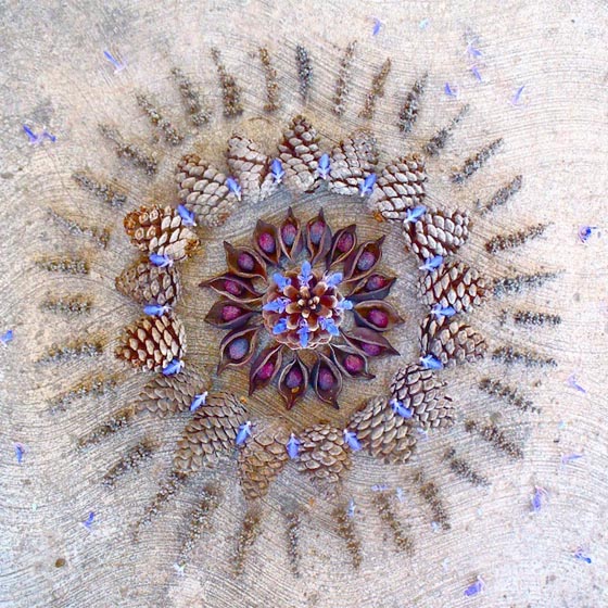 Beautiful Flower Mandalas Created by Kathy Klein