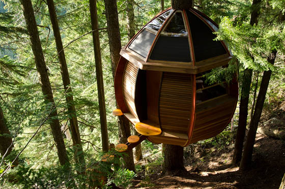 11 Amazing Treehouses around the World