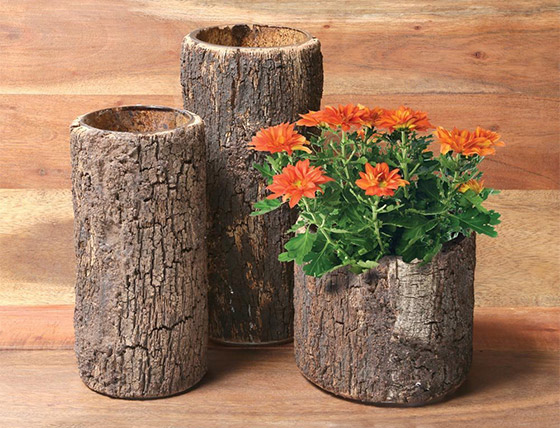 7 Cool and Unusual Log-shaped Products