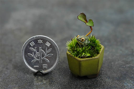 Ultra Small Japanese Bonsai with Height Less Than 3CM
