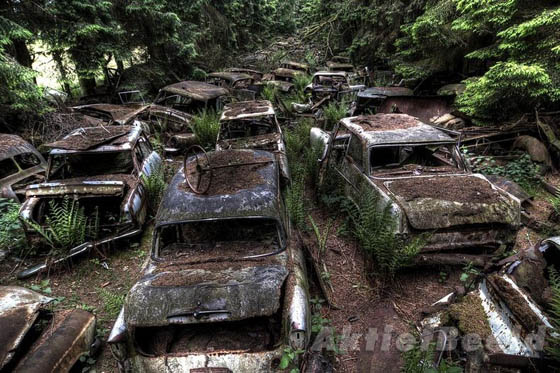 Stunning Car Graveyard in Belgium Forest
