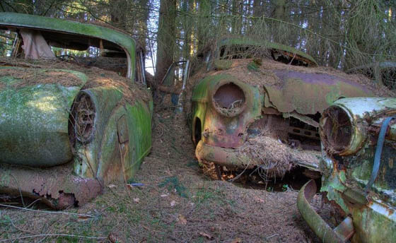 Stunning Car Graveyard in Belgium Forest