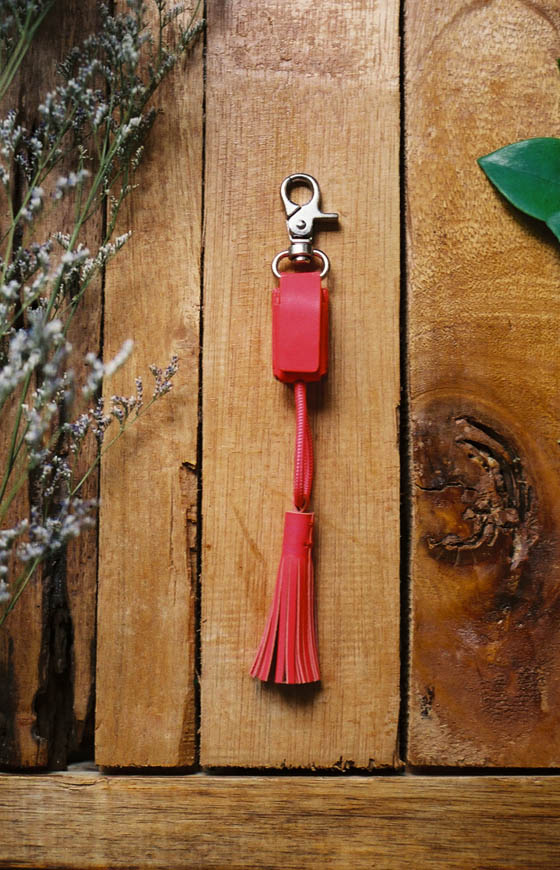 POWER LINK Key Holder with Hidden Micro-USB or Lightning Connector