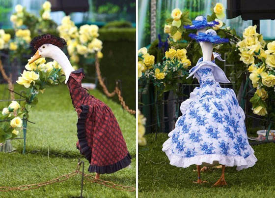 Pied Piper Duck Show: Annual Fashion Show for Ducks in Australia