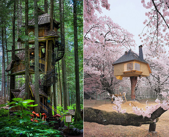 11 Amazing Treehouses around the World