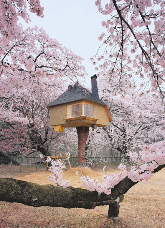 11 Amazing Treehouses around the World