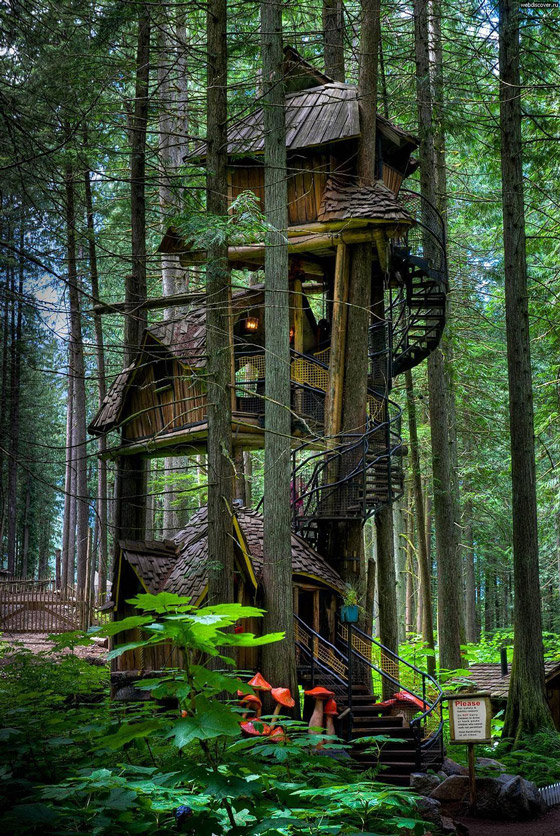 11 Amazing Treehouses around the World