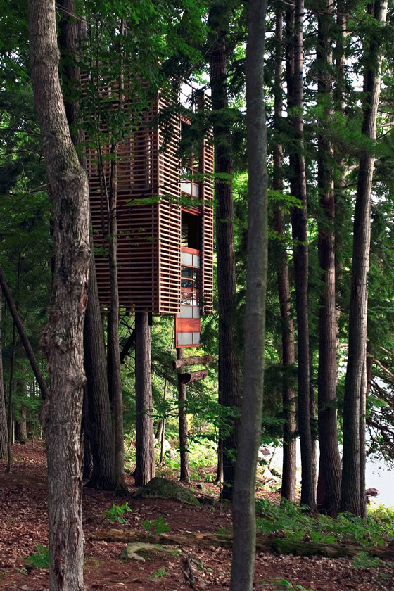 11 Amazing Treehouses around the World