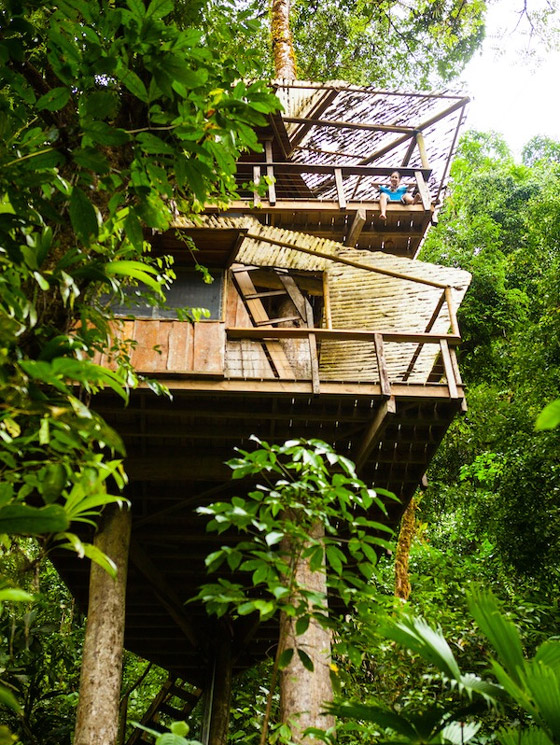11 Amazing Treehouses around the World