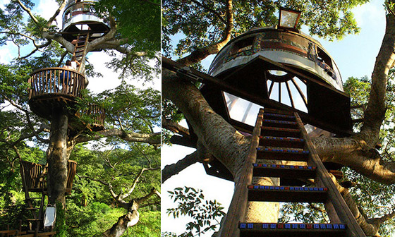 11 Amazing Treehouses around the World