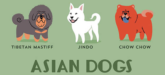 Dogs of The World: 192 Adorable Dog Breeds Illustration Grouped by Their Geographic Origins