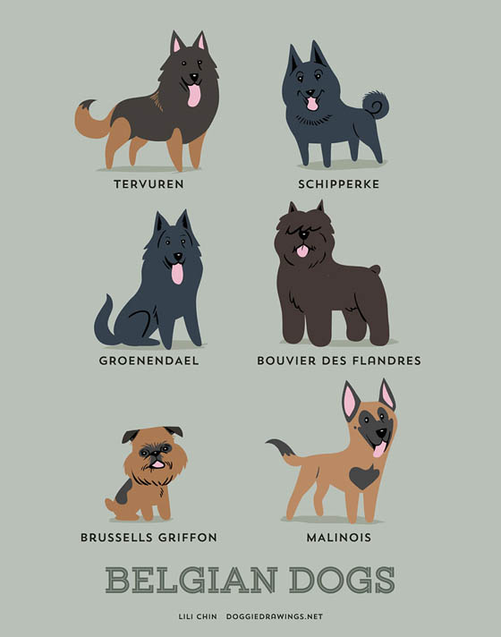 Dogs of The World: 192 Adorable Dog Breeds Illustration Grouped by Their Geographic Origins