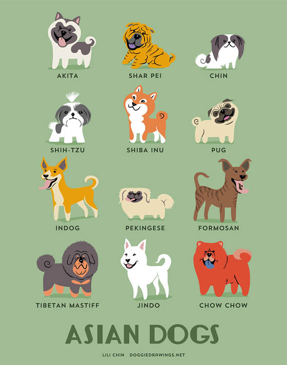 Dogs of The World: 192 Adorable Dog Breeds Illustration Grouped by Their Geographic Origins