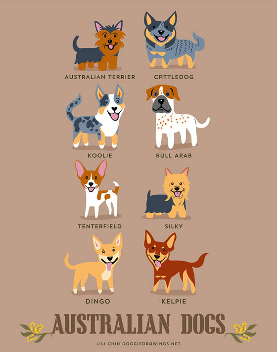 Dogs of The World: 192 Adorable Dog Breeds Illustration Grouped by Their Geographic Origins