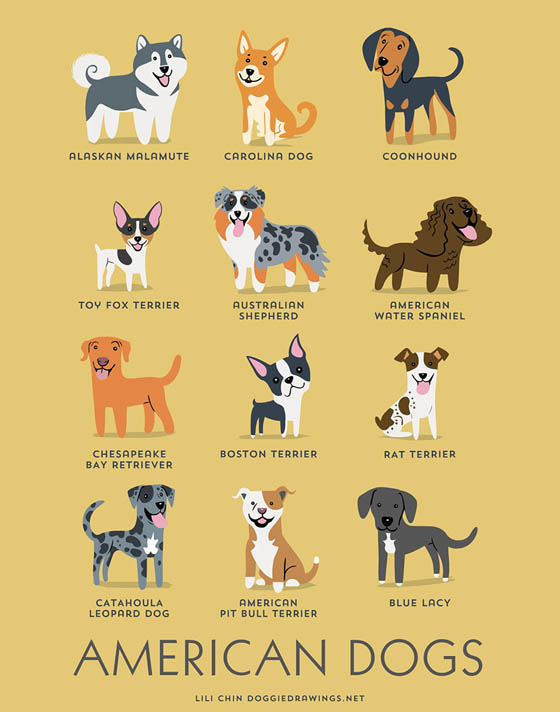 Dogs of The World: 192 Adorable Dog Breeds Illustration Grouped by Their Geographic Origins