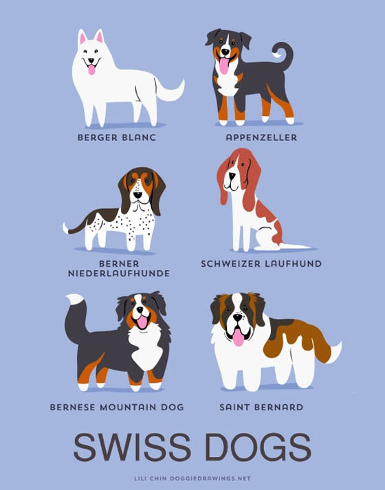 Dogs of The World: 192 Adorable Dog Breeds Illustration Grouped by Their Geographic Origins