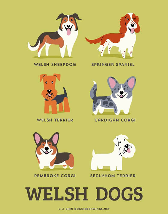 Dogs of The World: 192 Adorable Dog Breeds Illustration Grouped by Their Geographic Origins