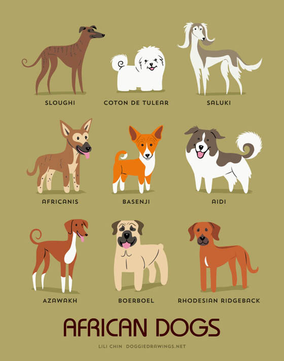 Dogs of The World: 192 Adorable Dog Breeds Illustration Grouped by