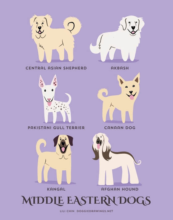 Dogs of The World: 192 Adorable Dog Breeds Illustration Grouped by Their Geographic Origins