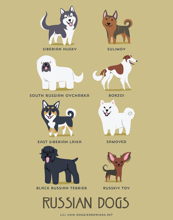 Dogs of The World: 192 Adorable Dog Breeds Illustration Grouped by Their Geographic Origins