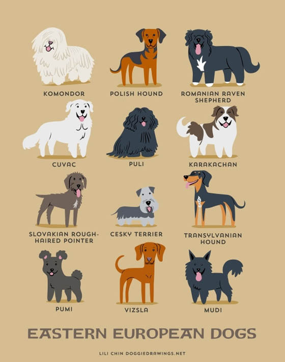 Dogs of The World: 192 Adorable Dog Breeds Illustration Grouped by Their Geographic Origins