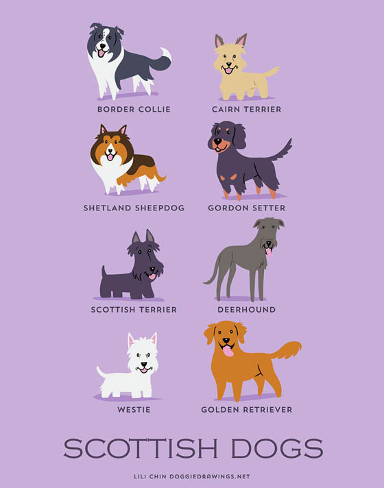 Dogs of The World: 192 Adorable Dog Breeds Illustration Grouped by Their Geographic Origins