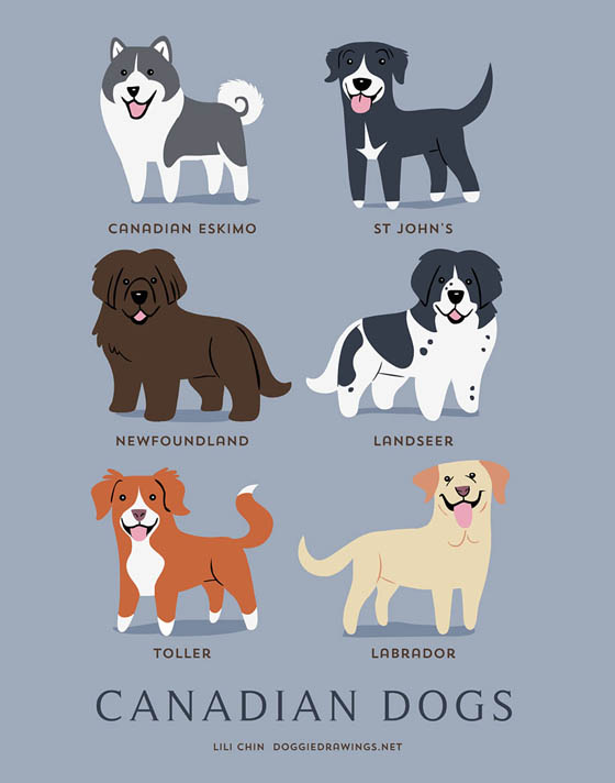 Dogs of The World: 192 Adorable Dog Breeds Illustration Grouped by Their Geographic Origins