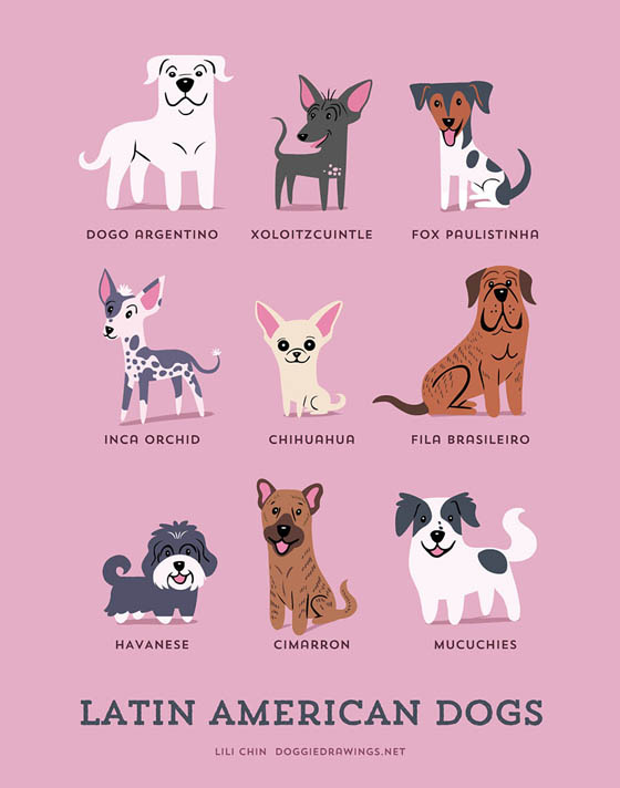 Dogs of The World: 192 Adorable Dog Breeds Illustration Grouped by Their Geographic Origins