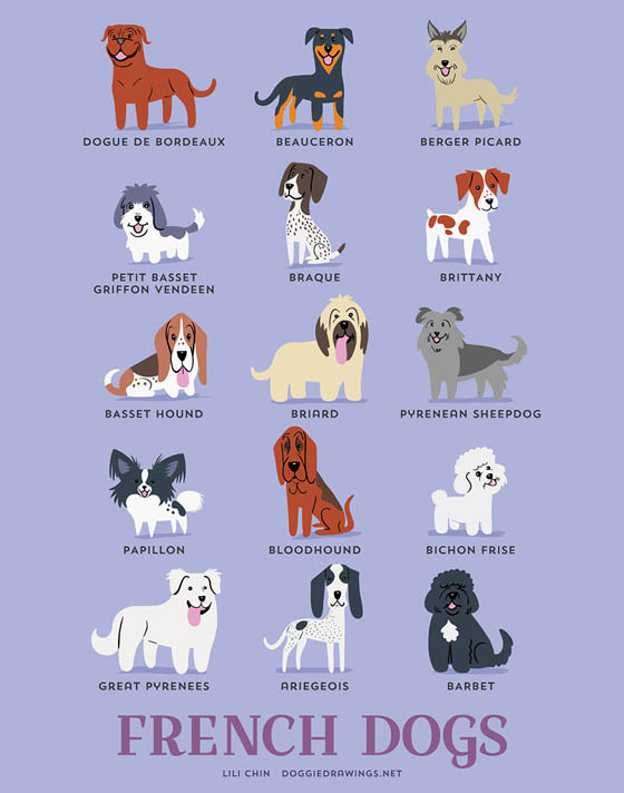 Dogs of The World: 192 Adorable Dog Breeds Illustration Grouped by Their Geographic Origins