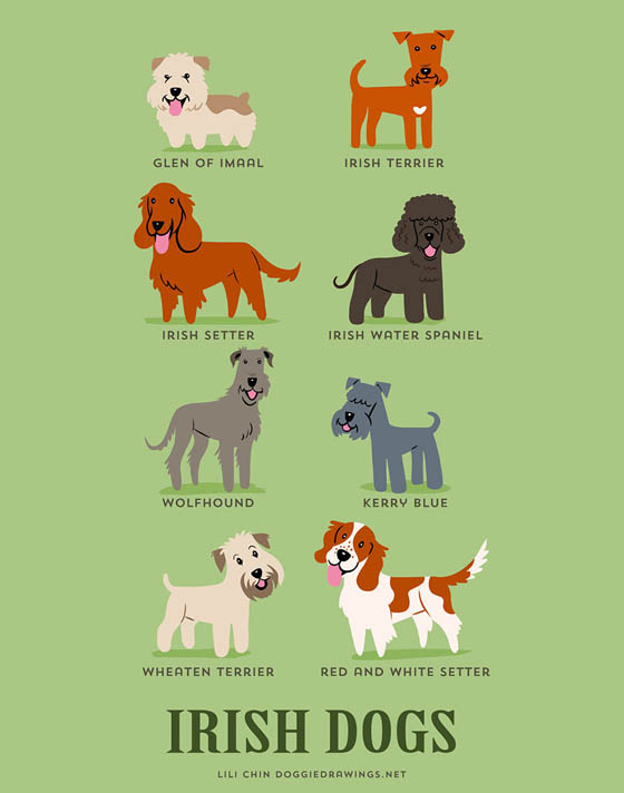 Dogs of The World: 192 Adorable Dog Breeds Illustration Grouped by Their Geographic Origins