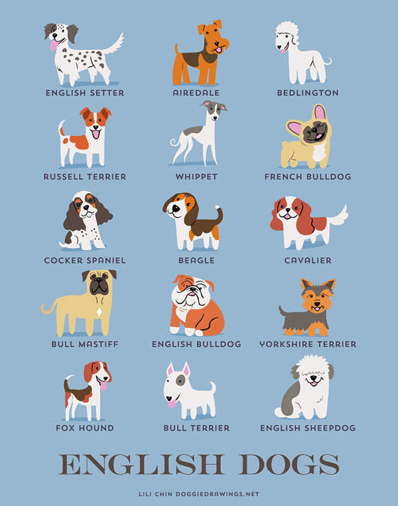 Dogs of The World: 192 Adorable Dog Breeds Illustration Grouped by Their Geographic Origins