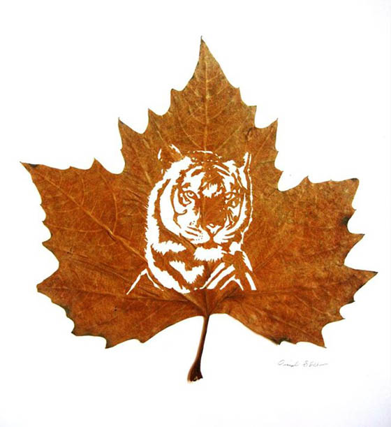 Stunning Intricate Leaf Cutting Art by Omid Asadi