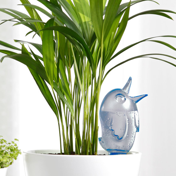 8 Cool Gadgets for Watering Plant