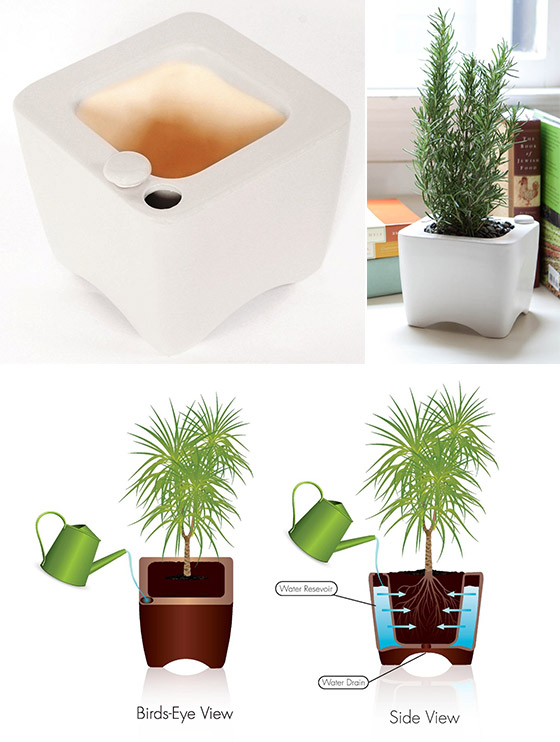 8 Cool Gadgets for Watering Plant