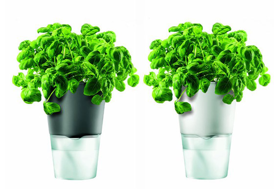 8 Cool Gadgets for Watering Plant