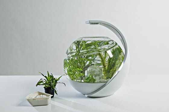 Self cleaning fish hot sale tank with plants