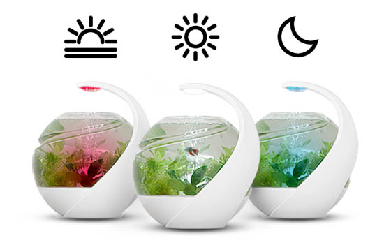 Avo: Innovative Self-cleaning Fish Tank