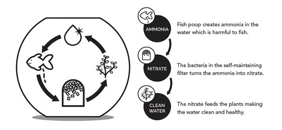 Avo: Innovative Self-cleaning Fish Tank