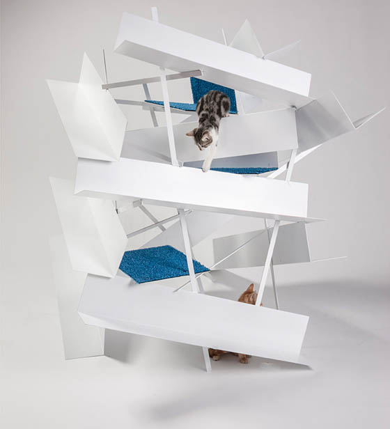 US Architects Designed Intricate Outdoor Dwellings for Cat