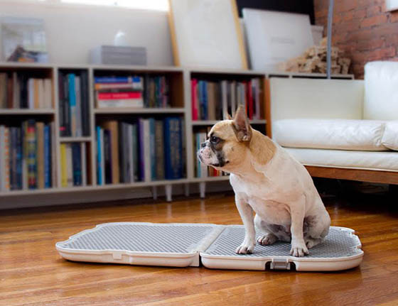 Shake Dog Potty: Stylish, Easy to Clean and Portable Dog Potty