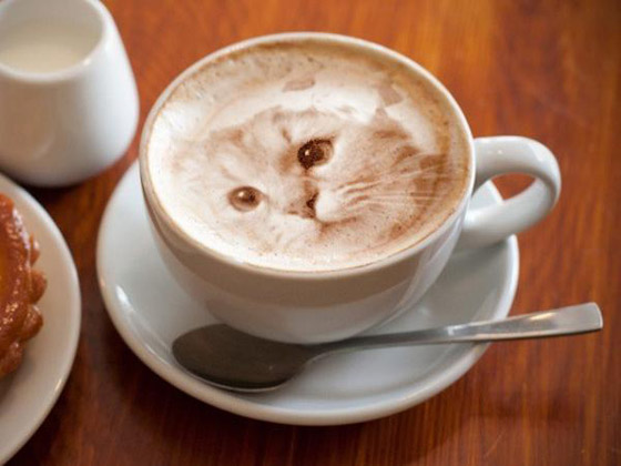 Latte Cat: Photo-realistic Cat Drawing Created by Coffee Foam