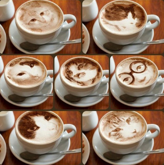 Latte Cat: Photo-realistic Cat Drawing Created by Coffee Foam