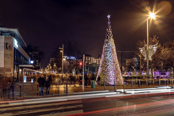 Christmas Tree Made of 15,000 Kilograms of Firewood to be Donated after Christmas